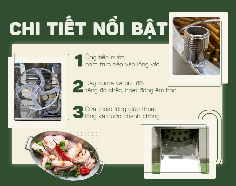 máy vặt lông gà máy vặt lông gà